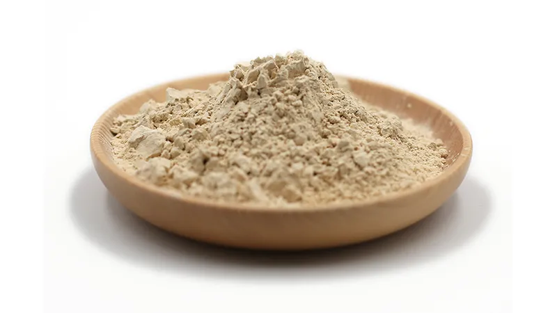 Brown Rice Protein Vs Whey Protein: which one should you choose ?