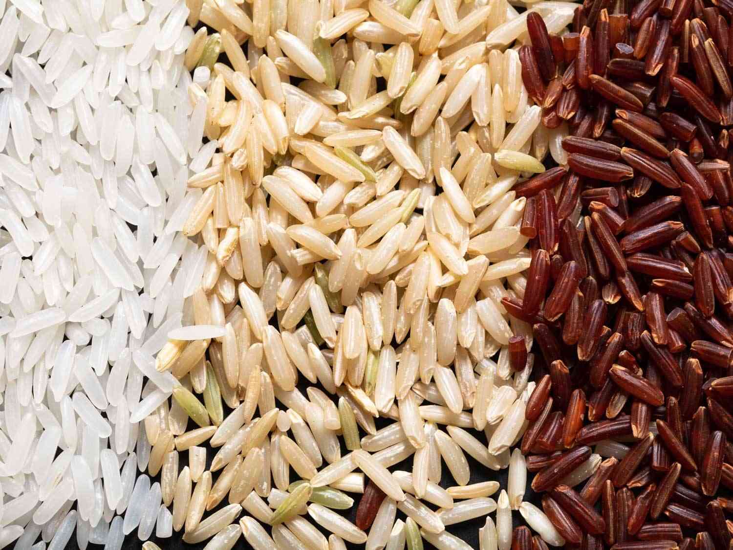 Basmati Rice VS Other Rice